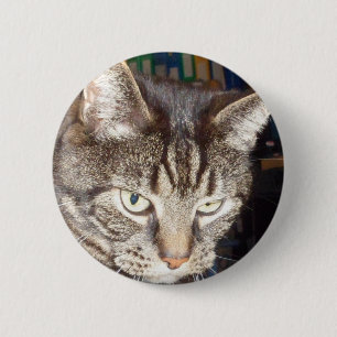 Dave sieht dir das normale, runde Abzeichen an Button