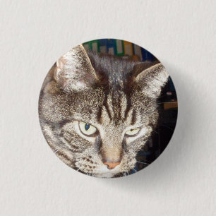 Dave sieht dir kleine, runde Abzeichen zu Button