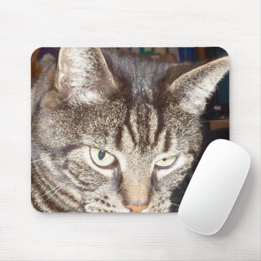 Dave sieht dir Mousepad zu (Mit Mouse)