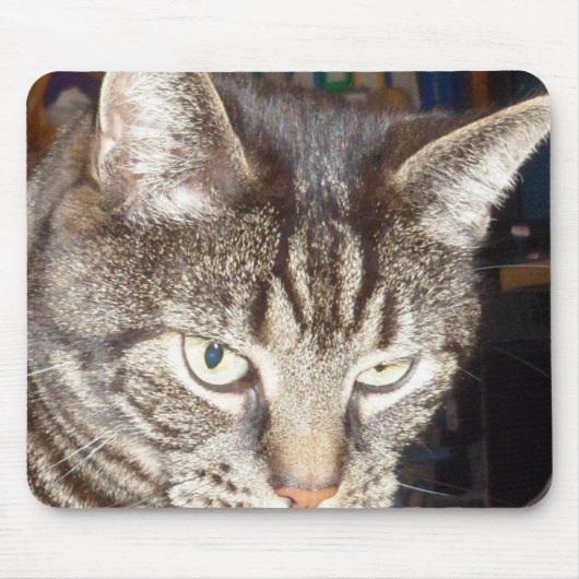 Dave sieht dir Mousepad zu (Vorne)