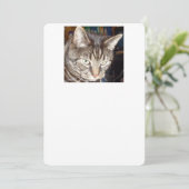 Dave sieht dir zu, wie du einladest einladung (Stehend Vorderseite)