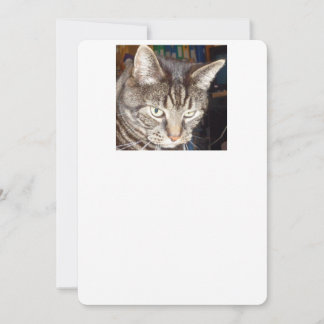 Dave sieht dir zu, wie du einladest einladung