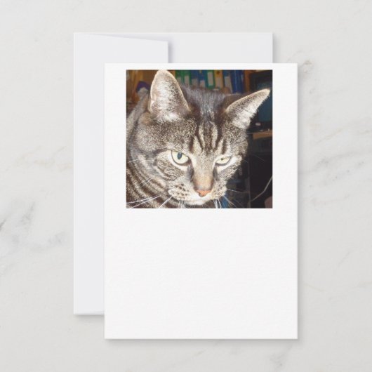 Dave sieht dir zu, wie du einladest einladung (Vorderseite)