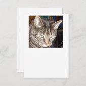 Dave sieht dir zu, wie du einladest einladung (Vorne/Hinten)