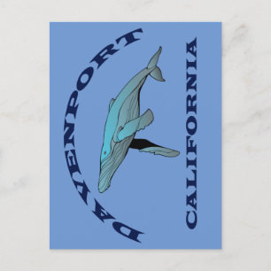 Davenport California Whale Postcard Postkarte
