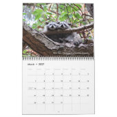 Dave's Garden 2020 Foto Contest Kalender (Mär 2027)