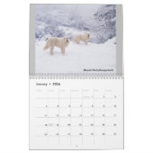 Dave's Garden 2021 Kalender (Jan 2026)