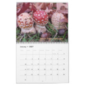 Dave's Garden 2023 Calendar  Kalender (Jan 2027)