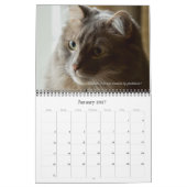 Dave's Garden 2025 Kalender (Jan 2027)