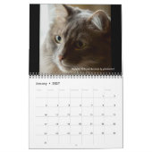 Dave's Garden 2025 Kalender (Jan 2027)