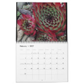 Daves Garten-Kalender 2015 Kalender (Feb 2027)