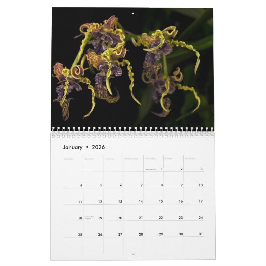 Daves Kalender Garten-2013 (Jan 2026)