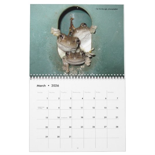 Daves Kalender Garten-2016 (Mär 2026)