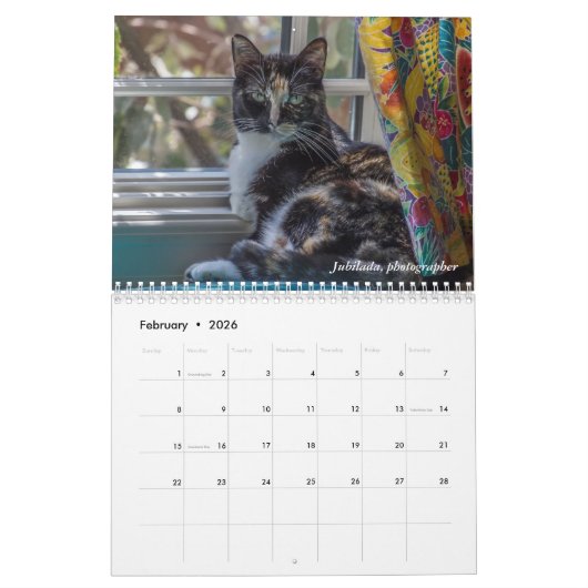 Daves Kalender Garten-2017 (Feb 2026)