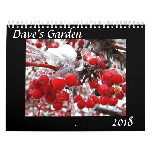 Daves Kalender Garten-2018 (Titelbild)