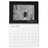 Daves Kalender Garten-2018 (Jan 2026)
