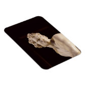 David, 1623-24 (Marmor) (Detail) Magnet (Rechte Seite)