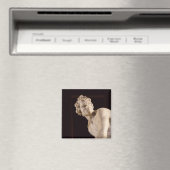 David, 1623-24 (Marmor) (Detail) Magnet (In Situ (Geschirrspüler))