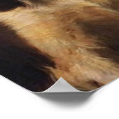 David Attenborough Portrait Poster (Ecke)