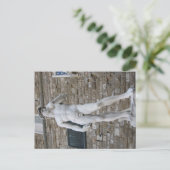 David auf der Piazza della Signoria, Florenz Postkarte (Stehend Vorderseite)