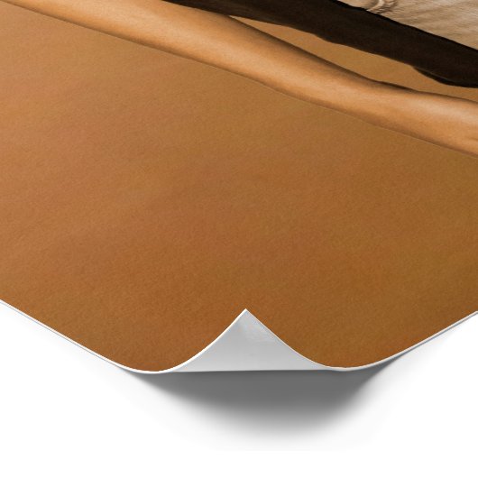 David Beach Poster (Ecke)