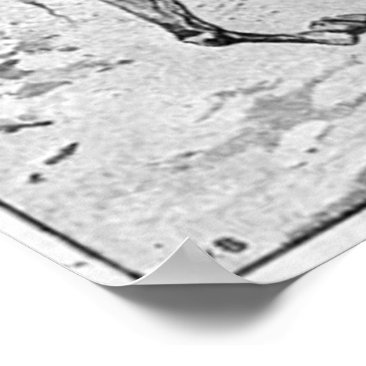 David Brainerd Poster (Ecke)