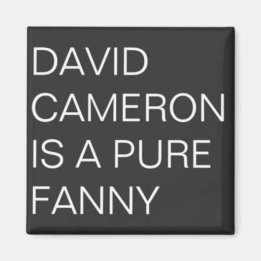 David Cameron Magnet (Vorne)