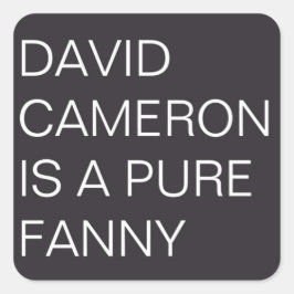 David Cameron Quadratischer Aufkleber