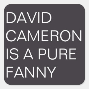 David Cameron Quadratischer Aufkleber