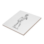 David-Fliese Fliese (Seite)