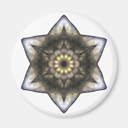 David Floral Star Magnet (Vorne)