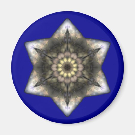 David Floral Star Magnet (Vorne)