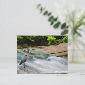 David Fortier River Park, Olmsted Falls, Ohio Postkarte (Stehend Vorderseite)