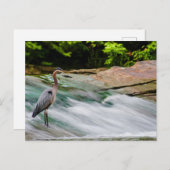 David Fortier River Park, Olmsted Falls, Ohio Postkarte (Vorne/Hinten)