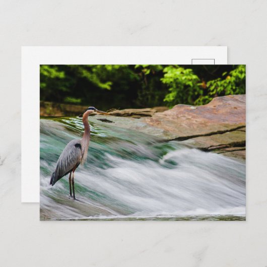 David Fortier River Park, Olmsted Falls, Ohio Postkarte (Vorne/Hinten)