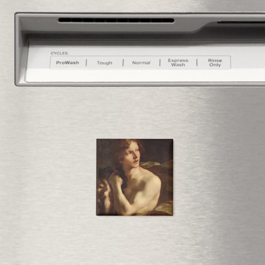 David Magnet (In Situ (Geschirrspüler))