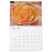 David Martin D.D.S. Calendar Kalender (Mär 2027)