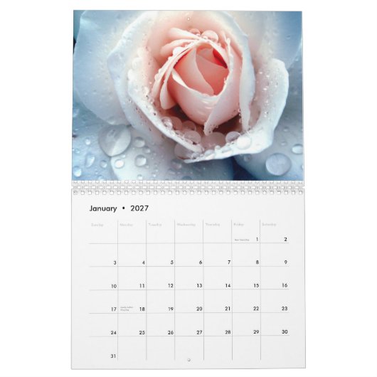 David Martin D.D.S. Calendar Kalender (Jan 2027)