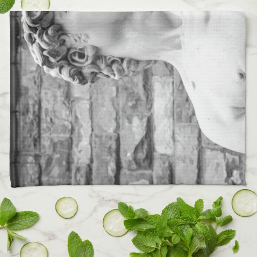 David (Michelangelo) Handtuch (Gefaltet)