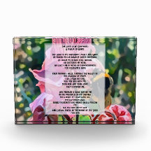 David Psalm 23 biblical quote