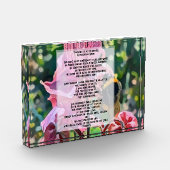 David Psalm 23 biblical quote Fotoblock (Links)