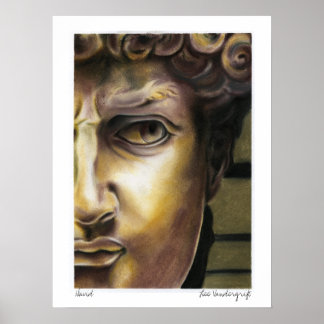 David-Statue von Lee Vandergrift Poster