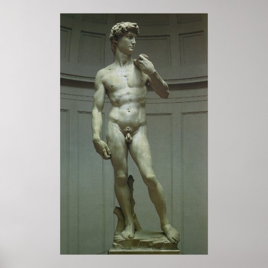David-Statue von Michelangelo Poster (Vorne)
