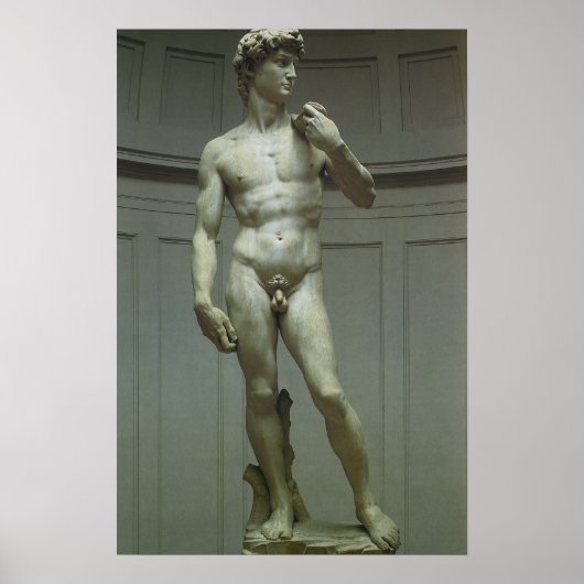 David-Statue von Michelangelo Poster (Vorne)