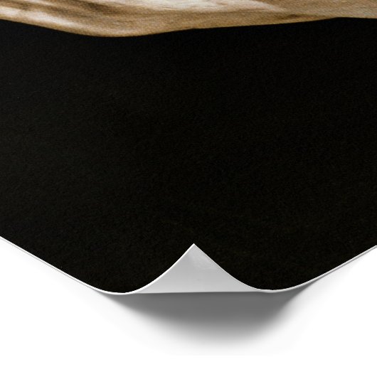 David von Michelangelo Buonarroti , 1501-04 Poster (Ecke)