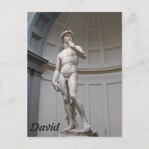David von Michelangelo - Florence Postkarte
