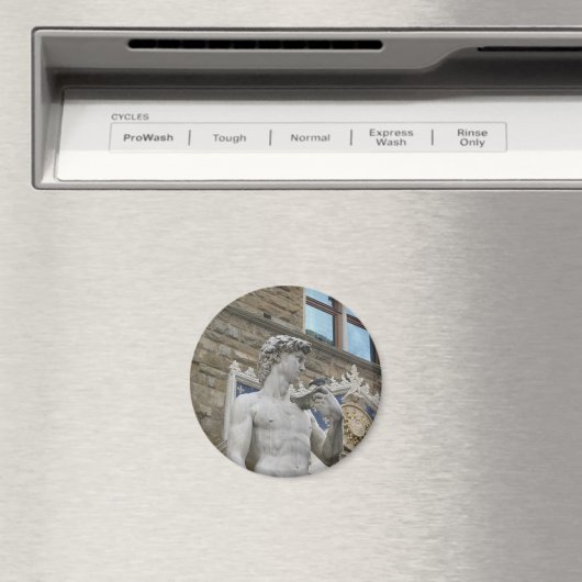 David von Michelangelo, Florenz Italien Magnet (In Situ (Geschirrspüler))