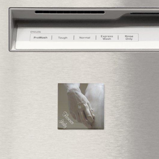 David's Hand Magnet (In Situ (Geschirrspüler))