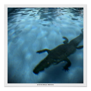 DAVIDS POOL-REIHE p05b- 3D Computer KUNST Plakat Poster