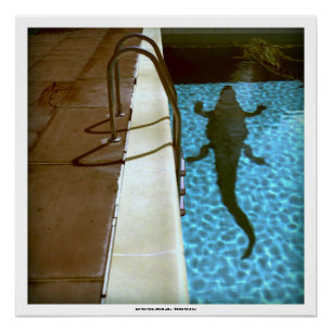 DAVIDS POOL-REIHE p08b- 3D Computer KUNST Plakat Poster